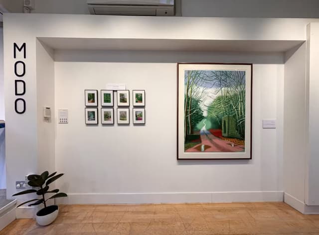 MODO Gallery