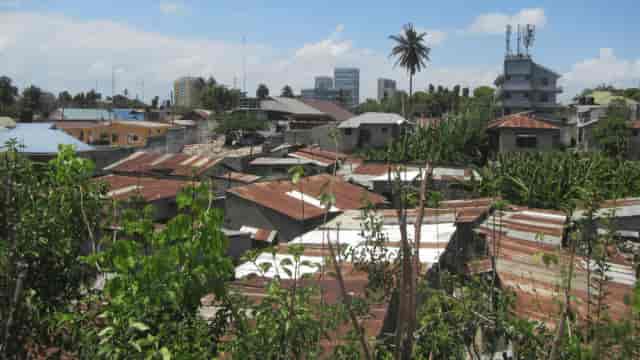 Mangroves in Dar es Salaam: contrast of nature and city skyline for outdoor event venue.