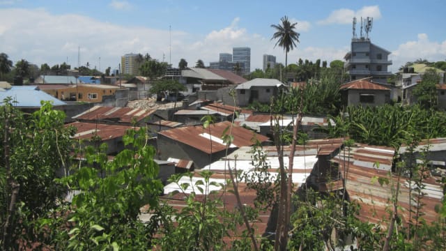 Mangroves in Dar es Salaam: contrast of nature and city skyline for outdoor event venue.