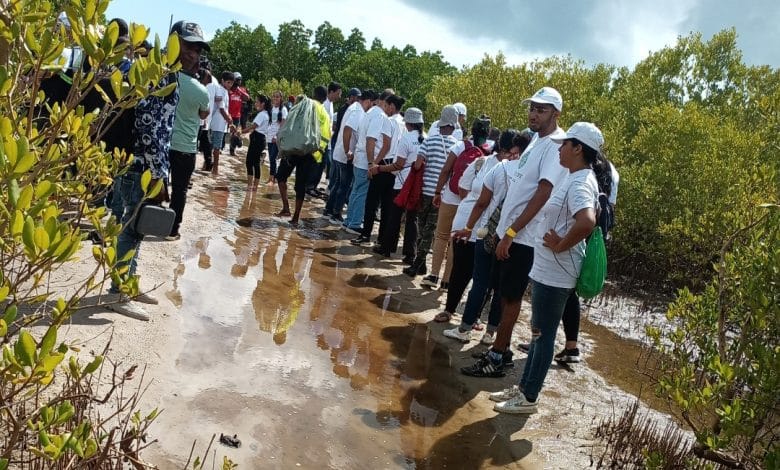 CSR mangrove planting event: volunteers navigate uneven terrain at a Dar es Salaam field site.