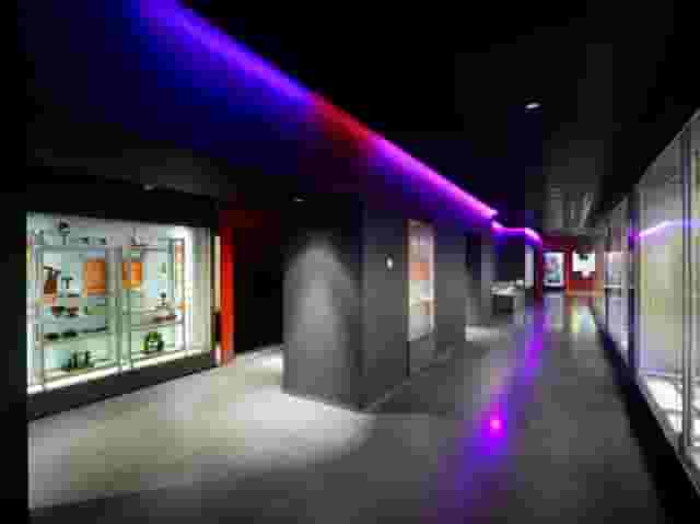 The Royal Institution
