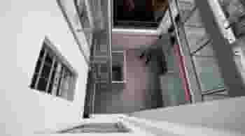The Royal Institution