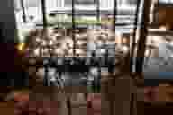 Bar Mitzvahs
