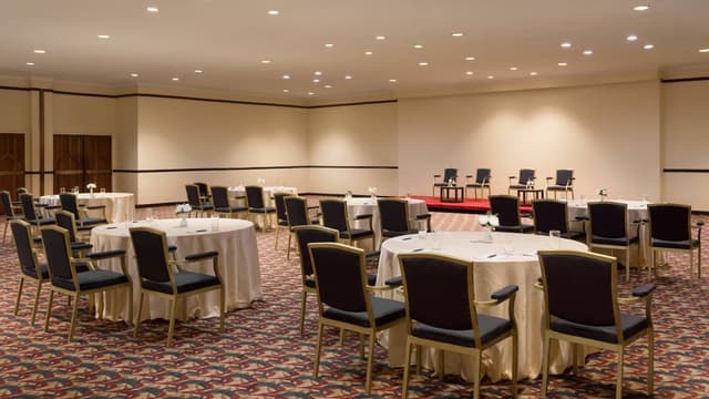 Yankari Meeting Room