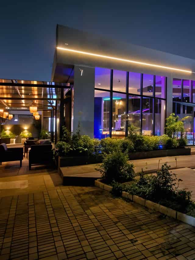 Somewhere on Earth Lounge