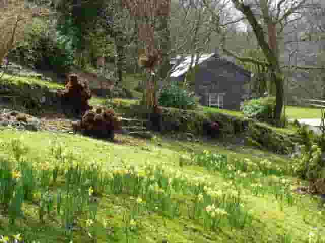 Bracken Tor House