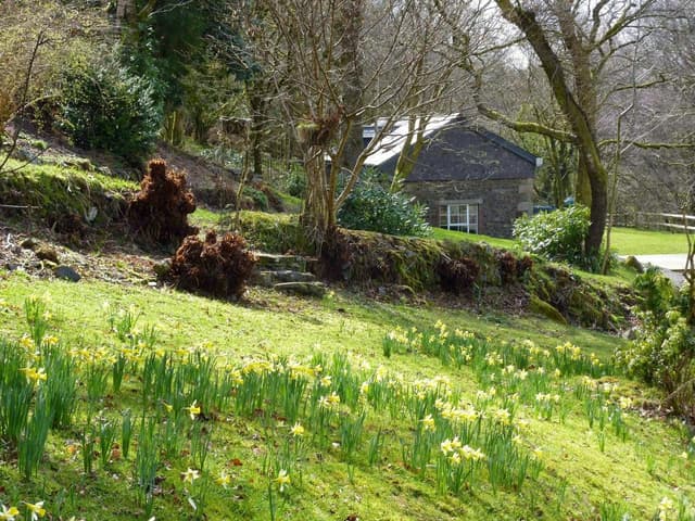 Bracken Tor House