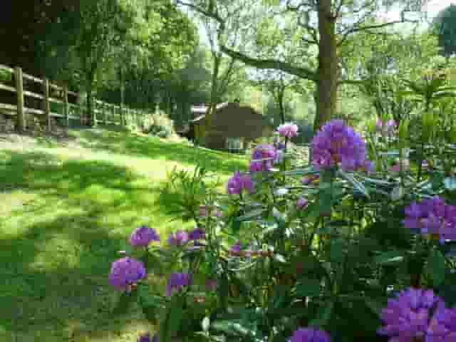 Bracken Tor House