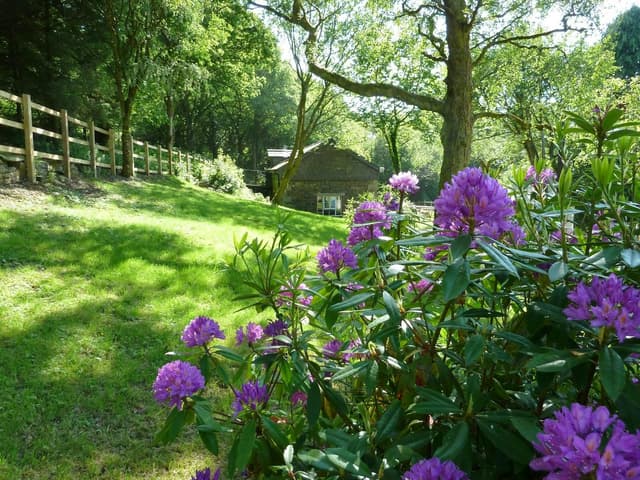 Bracken Tor House