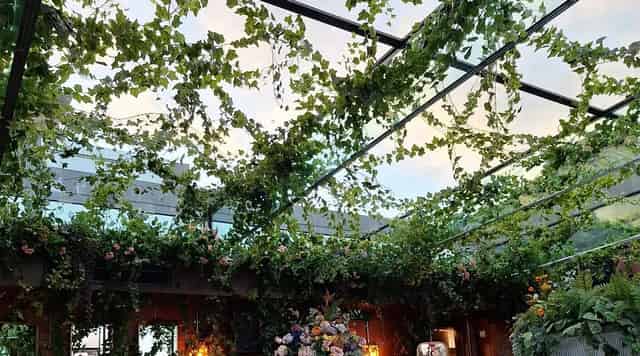 Sacred Garden rooftop