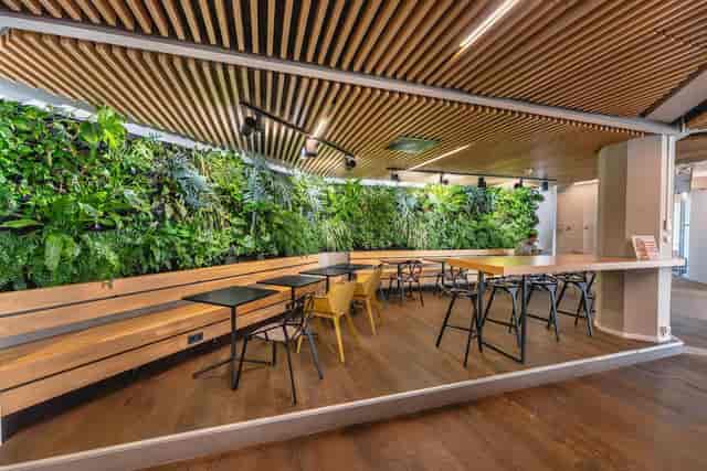 Biophilic CIC Rotterdam meeting room with bench seating for networking and brainstorming events.
