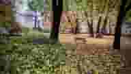 Ballrooms