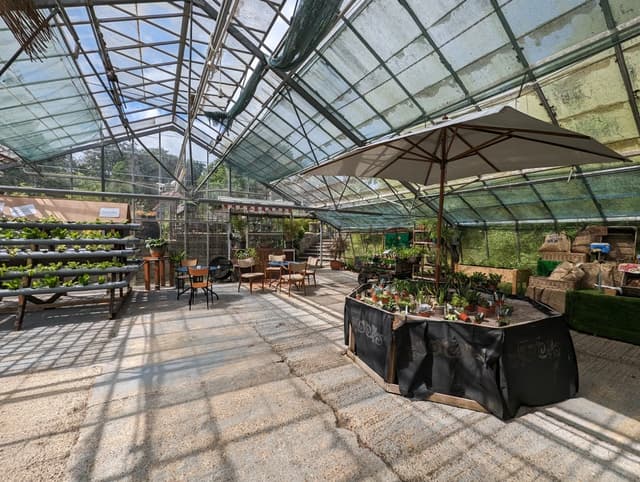 Babylon Garden Centre
