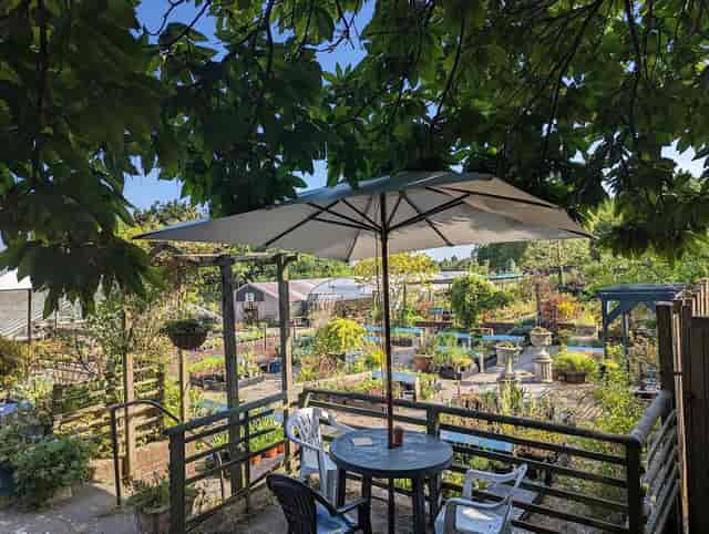 Babylon Garden Centre restaurant, intimate breakout space for networking and business meetings.