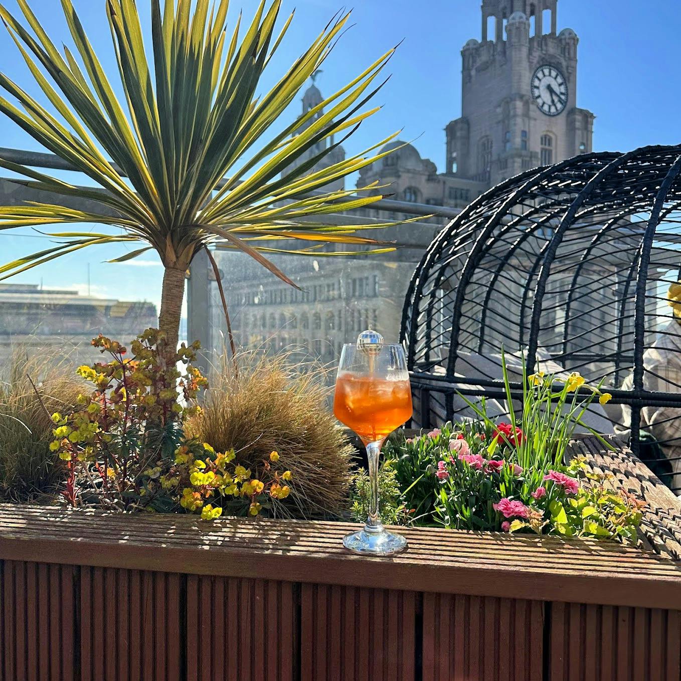 Event | Oh Me Oh My Goodness Gracious Rooftop Launch -