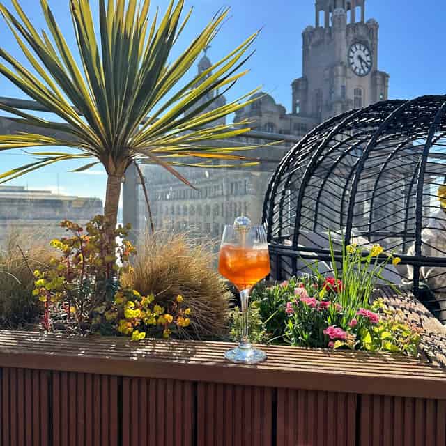 Roof Garden
