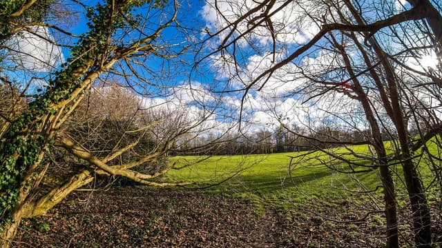 High Elms Golf Course