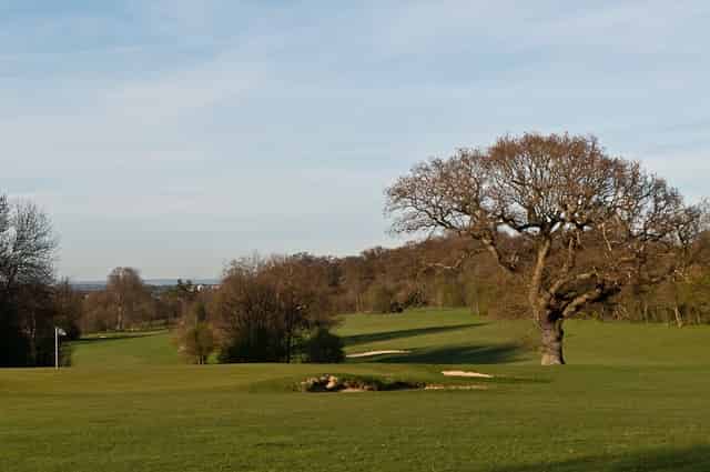 Short Game Area