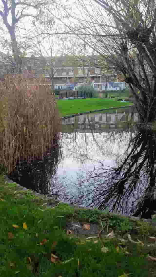 Stockwell Park Estate Community Trust