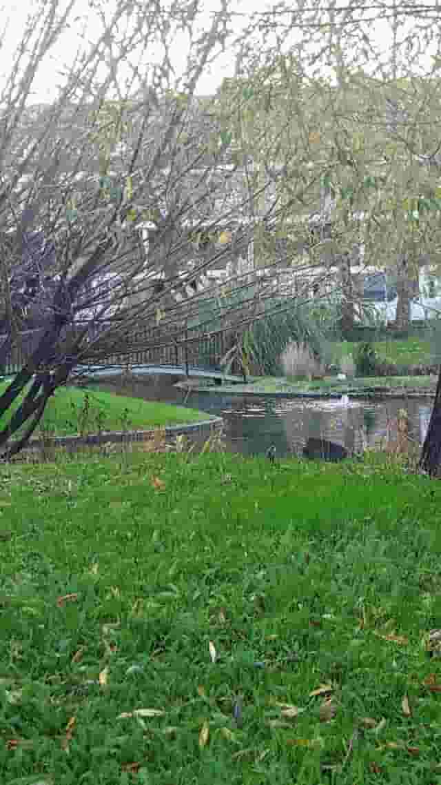 Stockwell Park Estate Community Trust