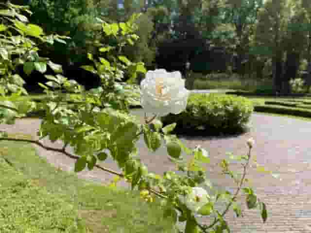 Lady Stanhope
