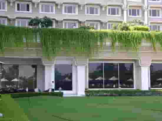 Terrace Garden
