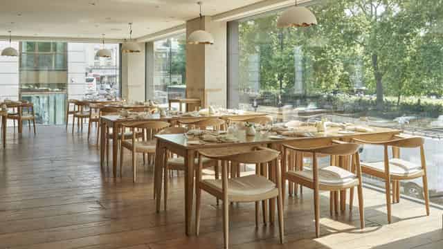 The Piccadilly View
