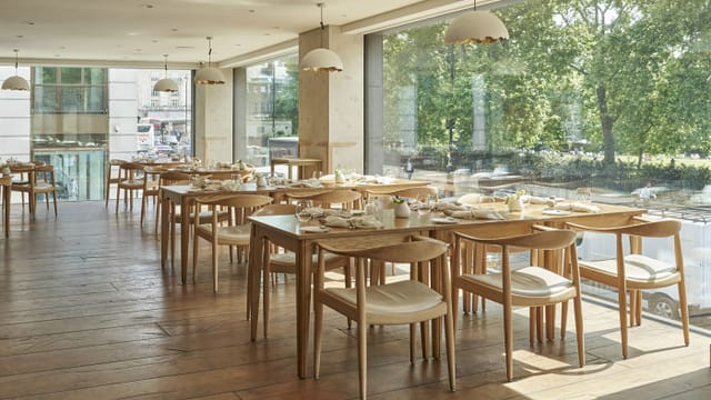 The Piccadilly View