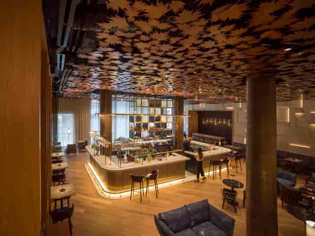 Sycamore Bar at Middle Eight: elegant venue for networking and intimate gatherings.