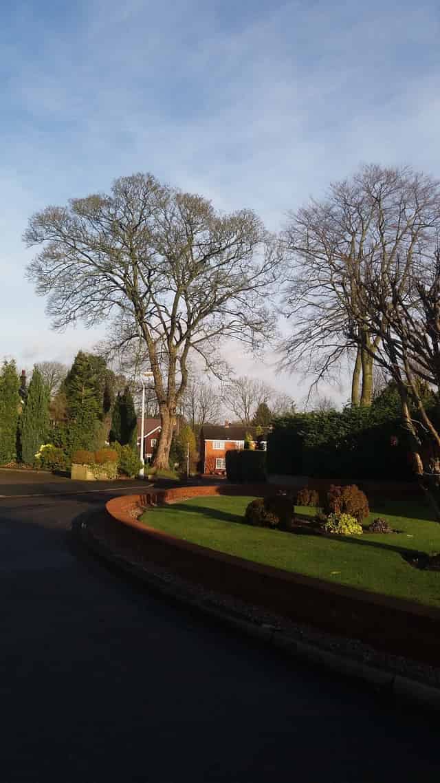 Centre for Professional Development
