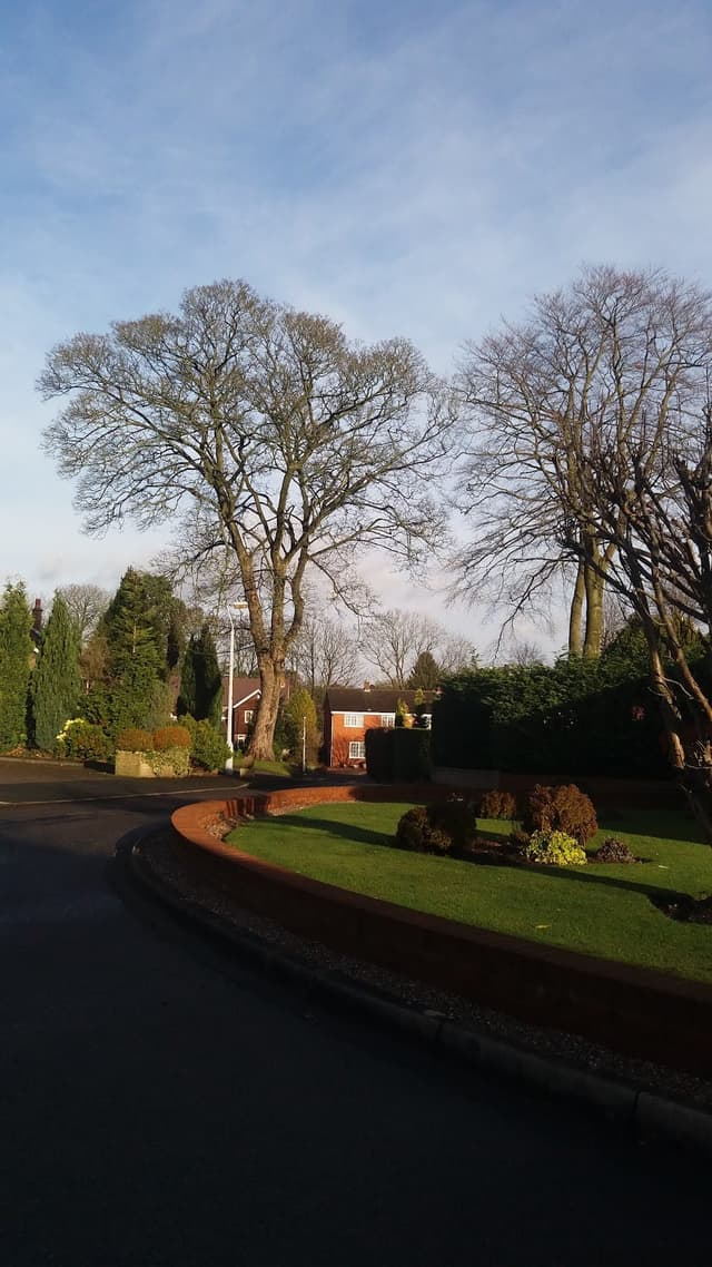 Centre for Professional Development