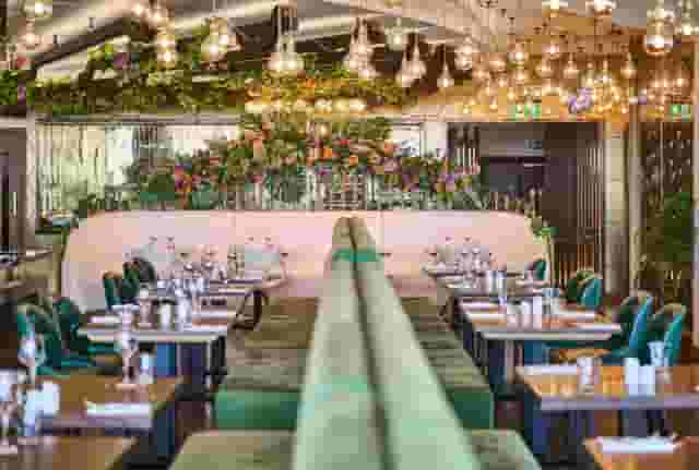 Brasserie