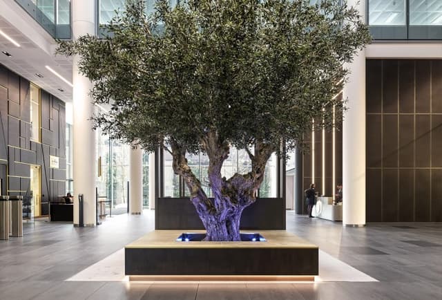 Three Snowhill