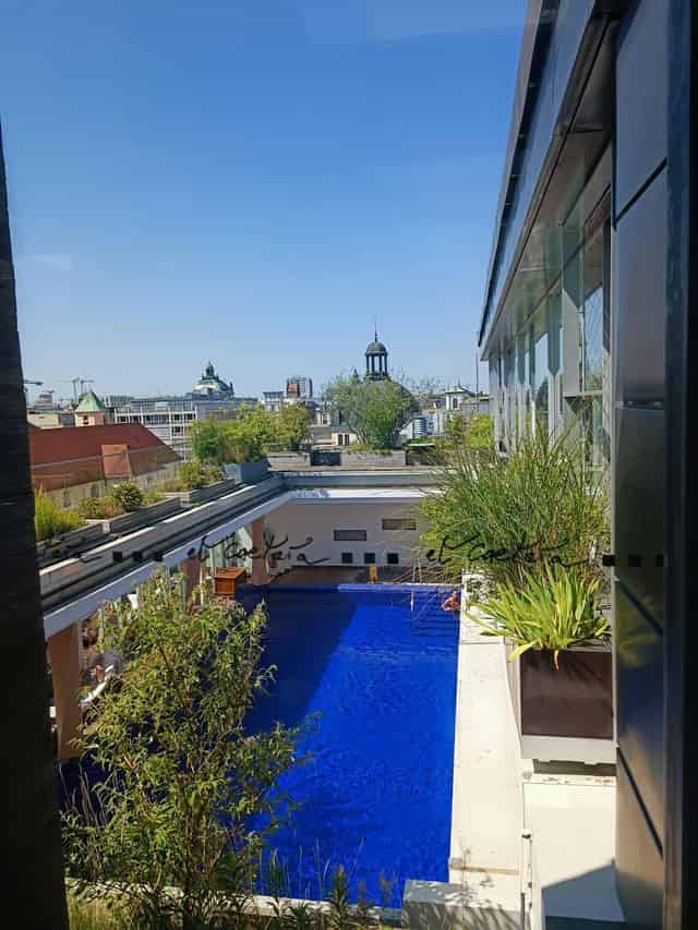Dachgarten