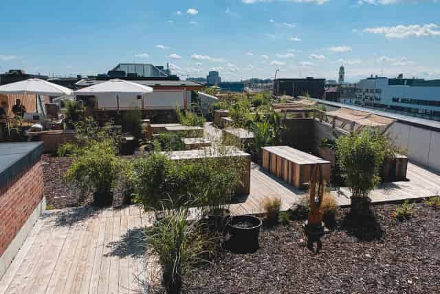 Roof Terrace