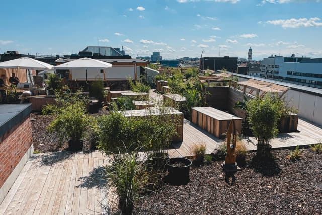 Roof Terrace