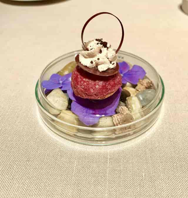 Avant-garde amuse-bouche for luxury gala catering.
