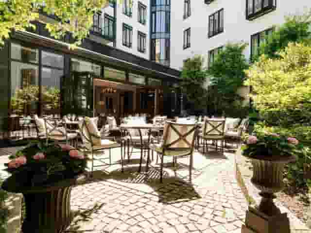 Garden / Terrace
