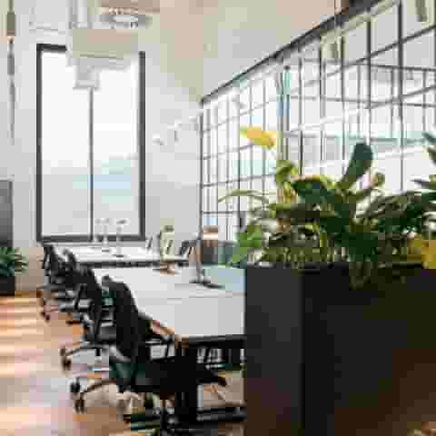 Team Office