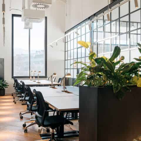 Team Office