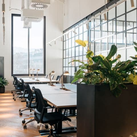 Team Office