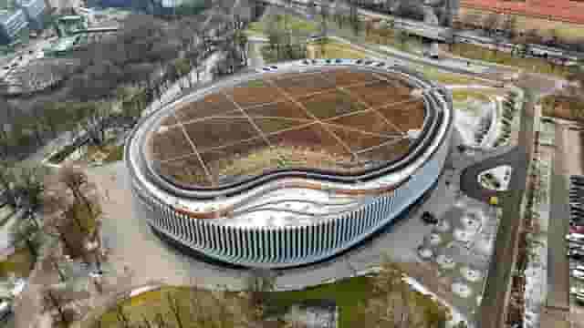 Arena