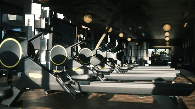 Premium rowing machines in Mix Brussels gym, ideal for corporate retreats and incentive travel.