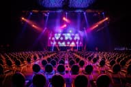 Christmas Party Venues
