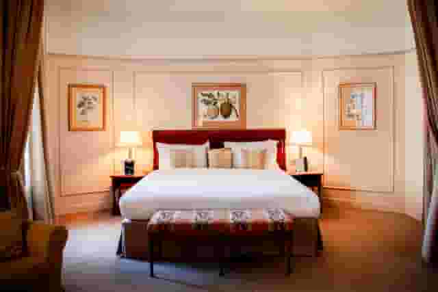 Executive Suite