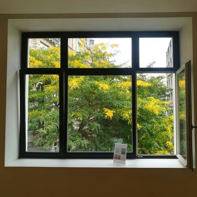Glass Roof