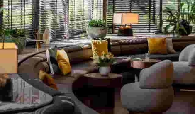 Lounge Olifant