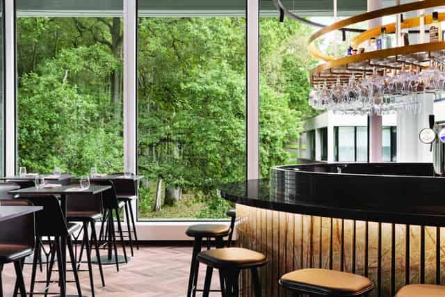 Meeting Room in the Woods