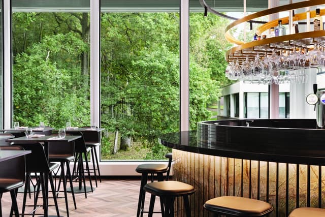 Meeting Room in the Woods