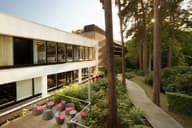Christmas Party Venues